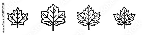 The maple line icon is available in white and black colors and is part of a maple collection for use in web, mobile apps, and UI designs