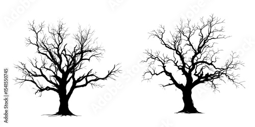 The Halloween tree is a modern, dry tree devoid of leaves, evoking a scary presence as a silhouette in black