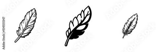 A pink feather serves as the icon, a modern plume acts as the symbol, and the illustration features a quill color
