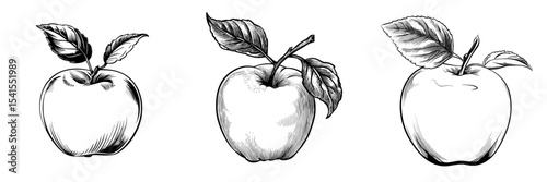 A simple illustration featuring an apple and a leaf, rendered in black and white