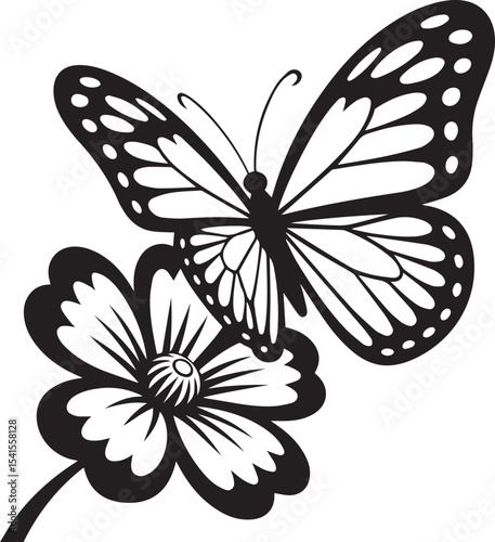 butterfly, insect, wing, flight, nature, colorful, flutter, garden, delicate, beauty, metamorphosis, antenna, pollinate