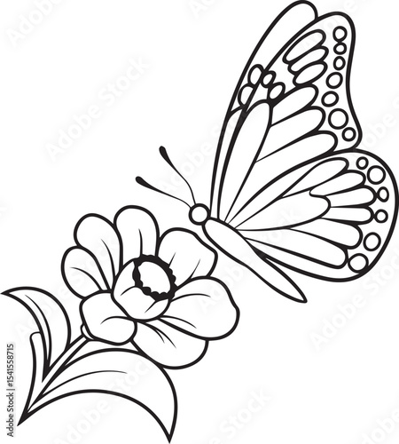 butterfly, insect, wing, flight, nature, colorful, flutter, garden, delicate, beauty, metamorphosis, antenna, pollinate