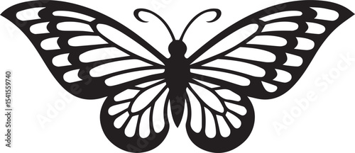 butterfly, insect, wing, flight, nature, colorful, flutter, garden, delicate, beauty, metamorphosis, antenna, pollinate