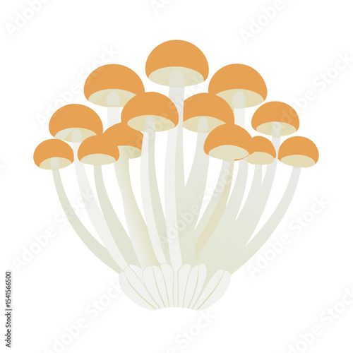 a cluster of mushrooms with orange-brown caps and white stems, arranged in a group