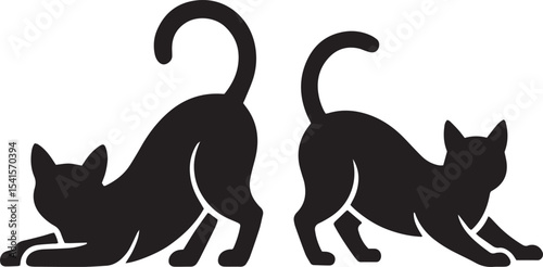 cat, feline, pet, whisker, kitten, animal, domestic, purr, fur, tail, cute, paws, meow, claw, hunter, playful, soft, agile, companion, silhouette,