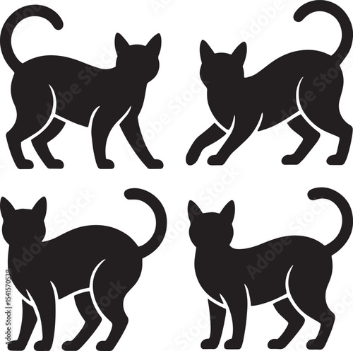 cat, feline, pet, whisker, kitten, animal, domestic, purr, fur, tail, cute, paws, meow, claw, hunter, playful, soft, agile, companion, silhouette,
