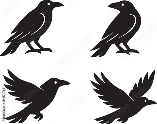 Mystic Raven Mirror Vector Illustration