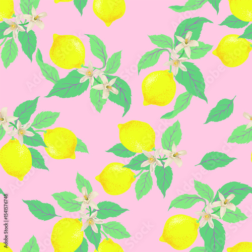Lemon summer seamless vector pattern. Botanical tropic illustration. Vintage print.