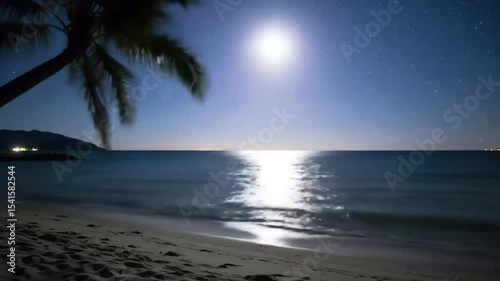 Moonlight beach at night
