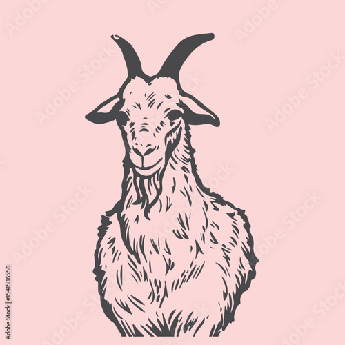 Hand-drawn goat illustrations in vintage engraving style