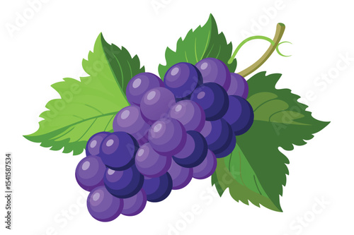 Fresh purple grapes on a vibrant green leaf displayed against a white background in a simple design