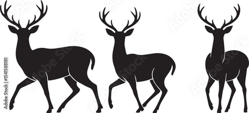 deer, antlers, wildlife, forest, animal, nature, buck, doe, stag, woodland, mammal, graze, jump, herd, horns, graceful,