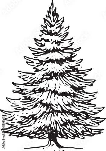 A striking black-and-white illustration of a tall pine tree with detailed, layered branches and needles, ideal for nature-inspired designs, holiday decor, or woodland-themed art and crafts