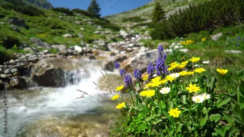 Mountain stream with wildflowers