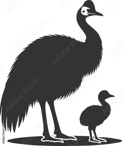 Vector bird cassowary black drawing animal silhouette
