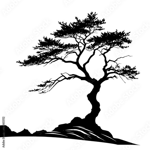 silhouette of a single wind-blown tree on a cliff edge