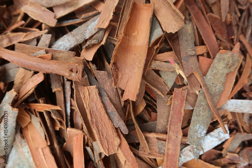 Papier peint Cinnamon is a spice obtained from the inner bark of several tree species from the genus Cinnamomum