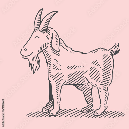Hand-drawn goat illustrations in vintage engraving style