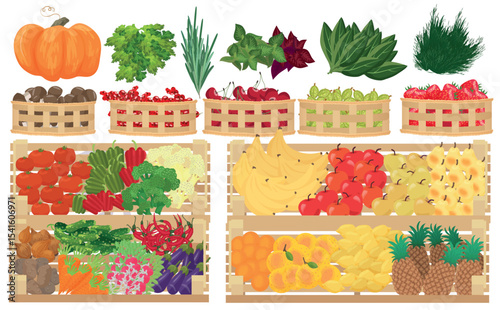 Collection of premium quality vector illustrations of fruits, berries and vegetables in supermarket cages