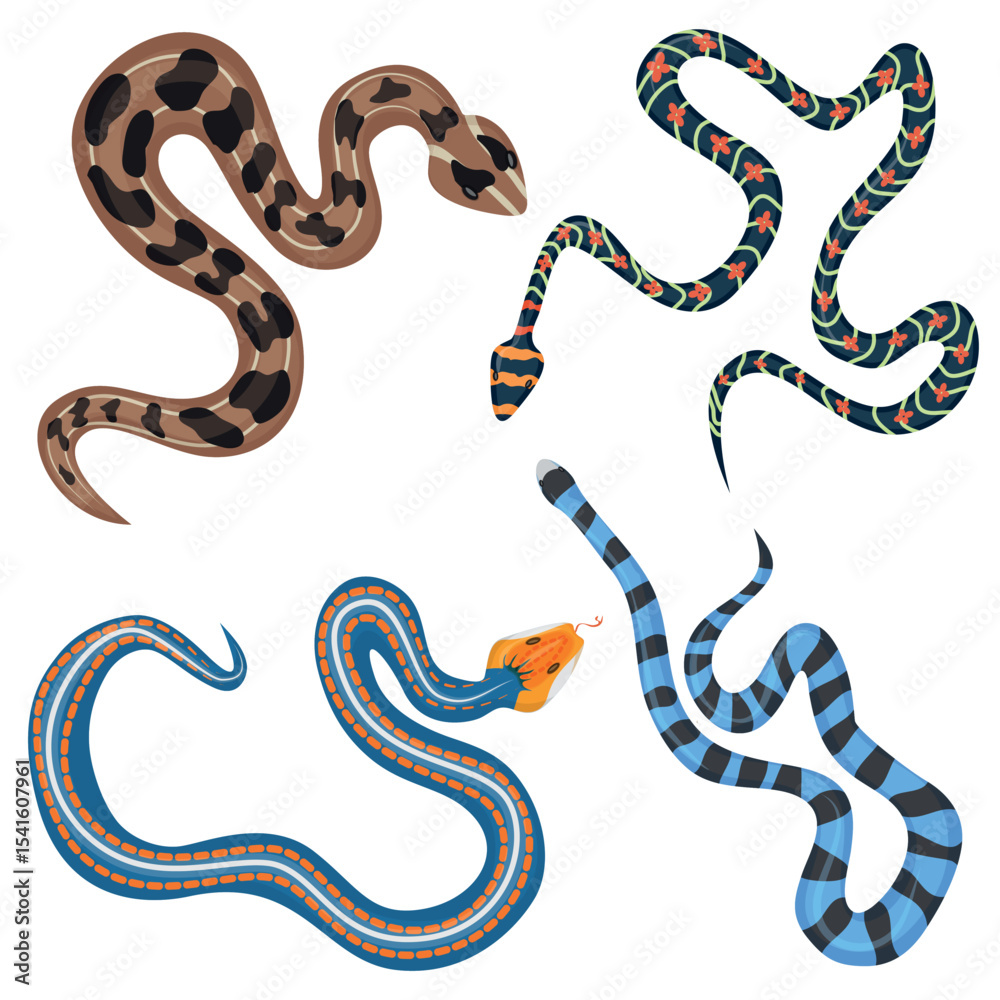 Fototapeta premium Vector colorful tropical snakes collection set top