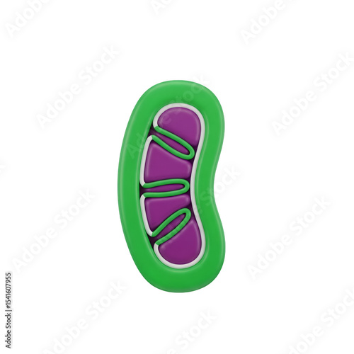 Detailed 3D Rendering of a Mitochondrion with Green Membrane and Purple Cristae Isolated on Transparent Background for Scientific Visualization and Educational Resources