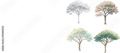 trees  isolated on white background