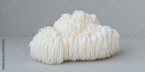 A сlose-up delicate white shaggy lion's mane mushrooms, displaying their characteristic long, flowing, icicle-like spines a soft gray background.