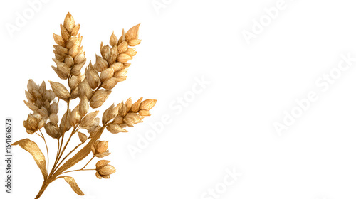 wheat stalk with golden ribbon on white background, thanksgiving day banner with copy space