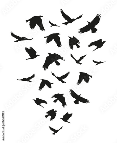 A group of black Halloween birds.
