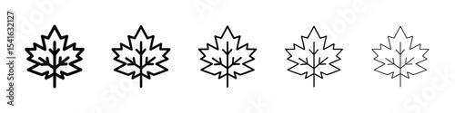 Autumn leaf canadian icon logo in stroke lines collection