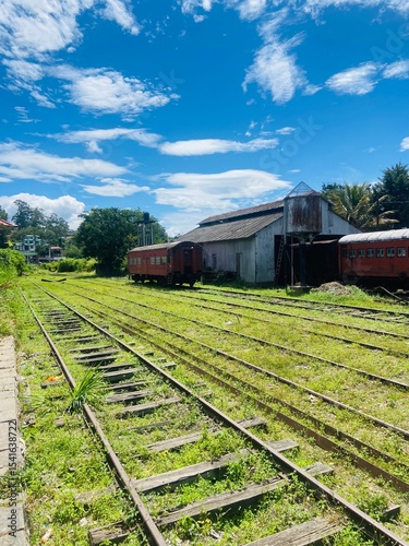 train in the countryside