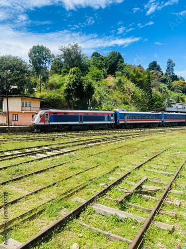 train on railway