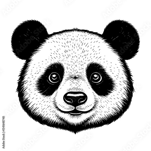 panda with bamboo