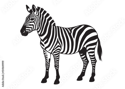 black zebra logo vector silhouette, zebra logo icon silhouette, zebra silhouette vector illustration, zebra silhouette vector logo on white background