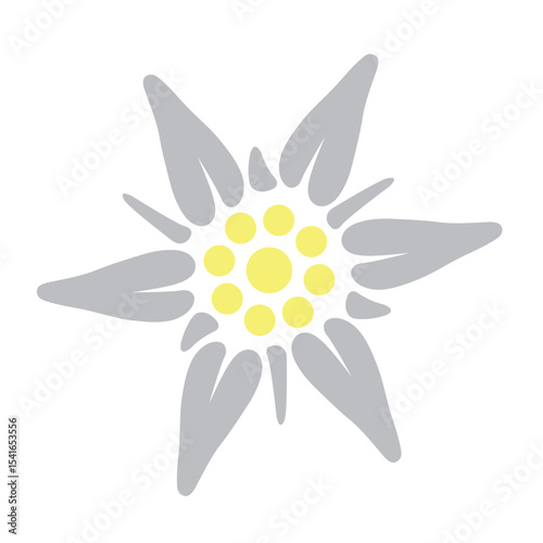 The colored Edelweiss icon. A rare mountain flower growing in the Alps. The symbol of Austria and Bavaria. Vector illustration for design and web.
