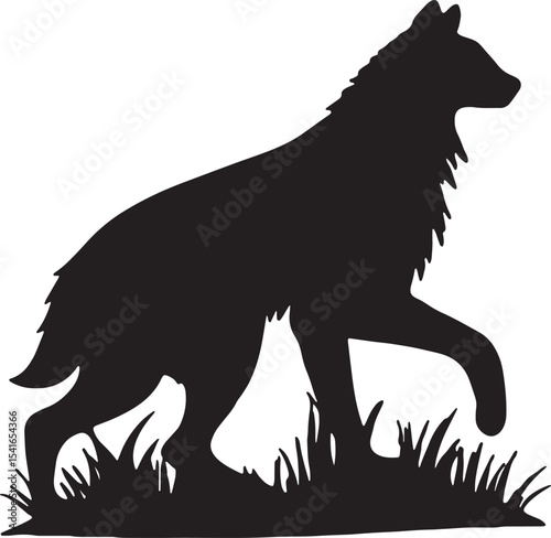 Silhouette of a Wolf: A striking silhouette of a wolf strides confidently through a grassy landscape, showcasing the power and grace of this iconic predator.