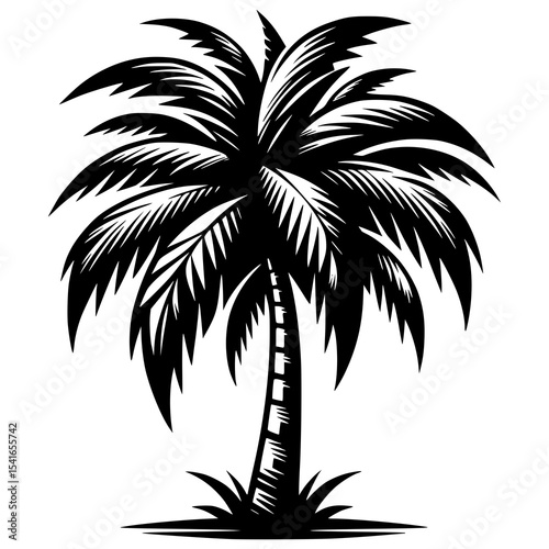 A black and white tropical palm tree illustration with bold lines and clean shading