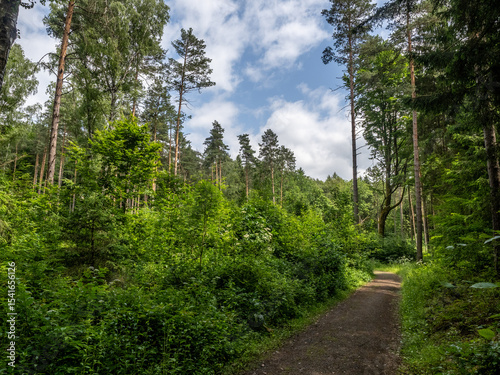 Elbsandsteingebirge