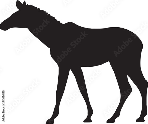 Silhouette of an Okapi: A striking silhouette of an okapi, revealing the unique form and patterns of this elusive forest dweller, inviting curiosity and wonder.