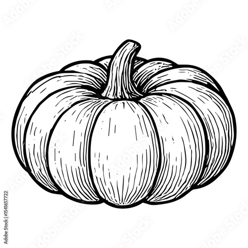 Harvest Pumpkin