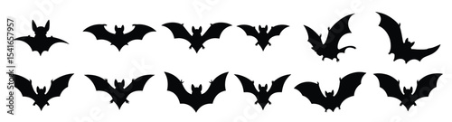 collection bats that say bats are displayed