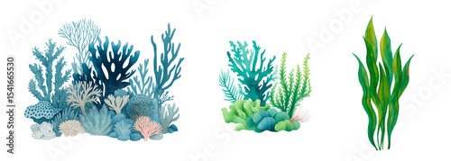 Watercolor Coral Reefs and Seaweed Set – Ocean Plants and Marine Flora, Underwater Ecosystem Illustration, Coral Diversity