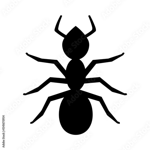Ant