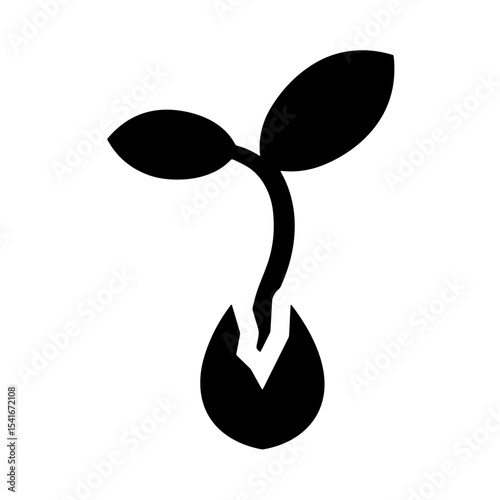 Seedling