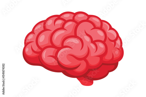 3d rendered human brain isolated on white background