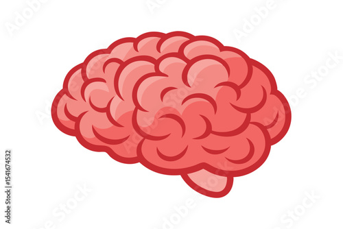 3d rendered human brain isolated on white background