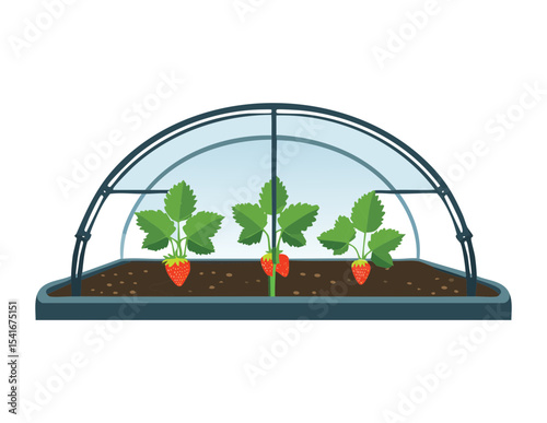 Greenhouse Interior with Thriving Plants