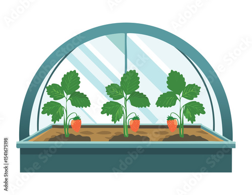 Arch Style Greenhouse with Garden Plants