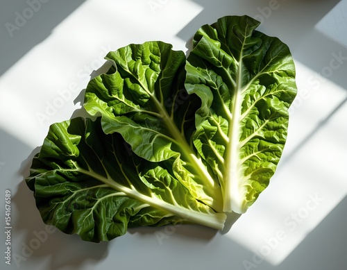Fresh Organic Chard Leaves Vibrant Green Leafy Vegetables Healthy Food Photography