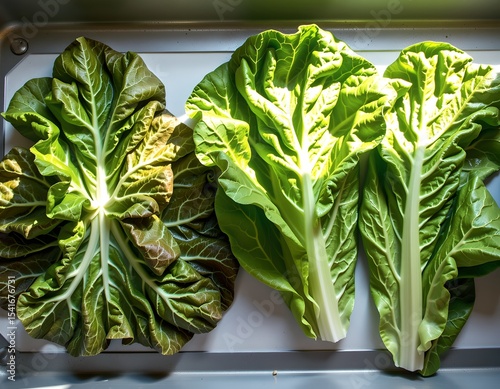 Fresh Organic Chard Leaves Vibrant Green and Deep Green Healthy Vegetable Food Photography